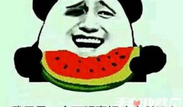 娱乐圈吃瓜的梗有哪些,盘点那些让人捧腹大笑的幕后趣事